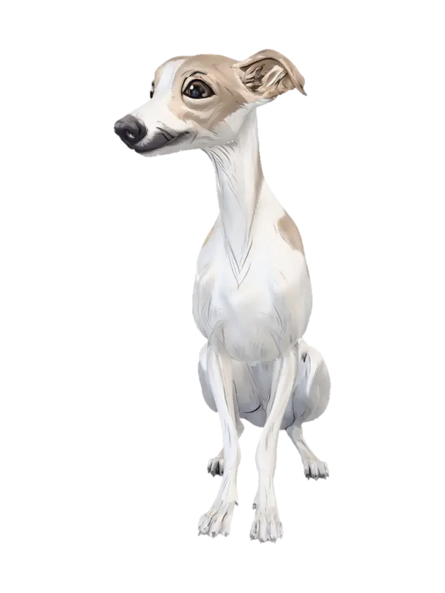 Lily - Petaled 3D model, vytvořený pomocí AI