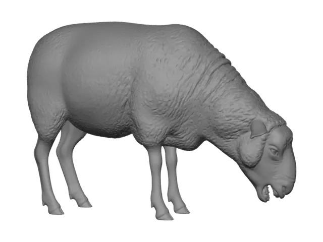 3D model for Contemplative Sheep