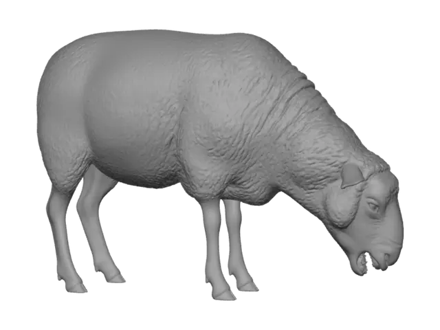 3D model for Contemplative Sheep