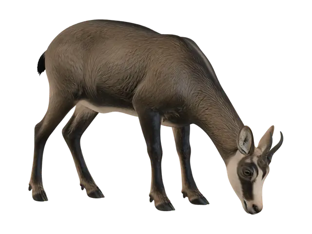 chamois-female-3d 3D model, vytvořený pomocí AI