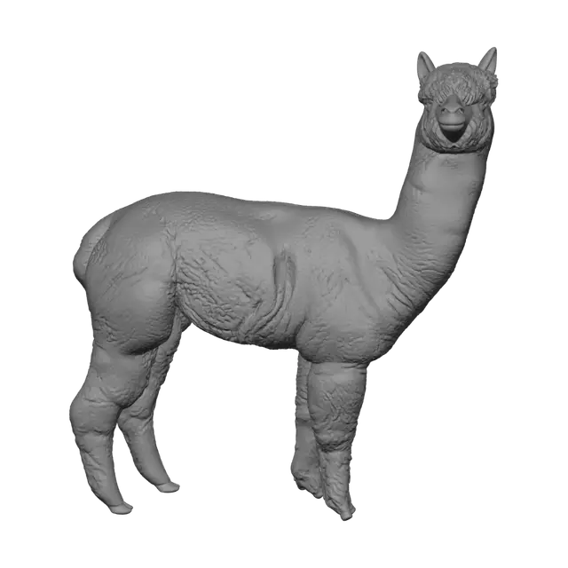 3D model for Alpaca Silhouette