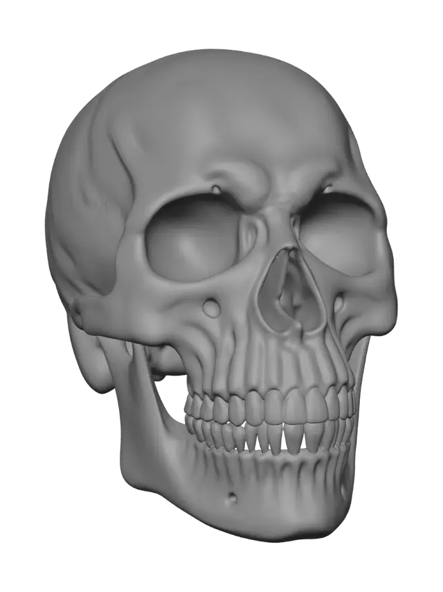 3D model for Cracked Skull