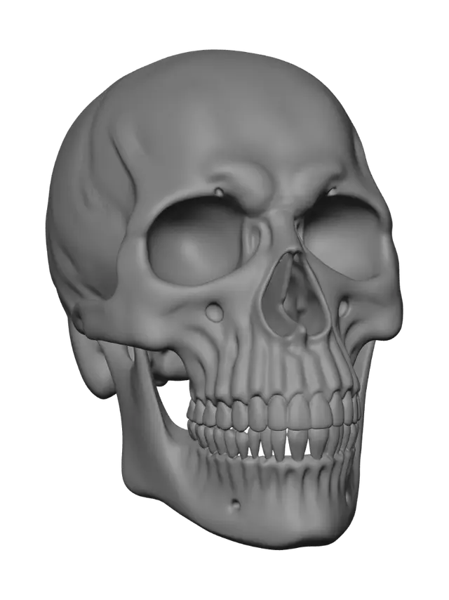 3D model for Cracked Skull