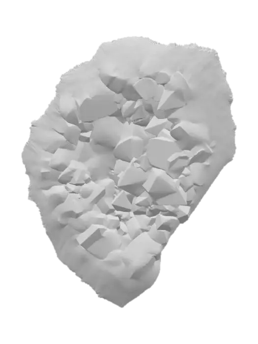 3D model for Amethyst Wonder