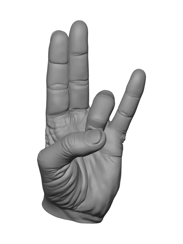 3D model for Two Extended Fingers Against a Neutral Wall
