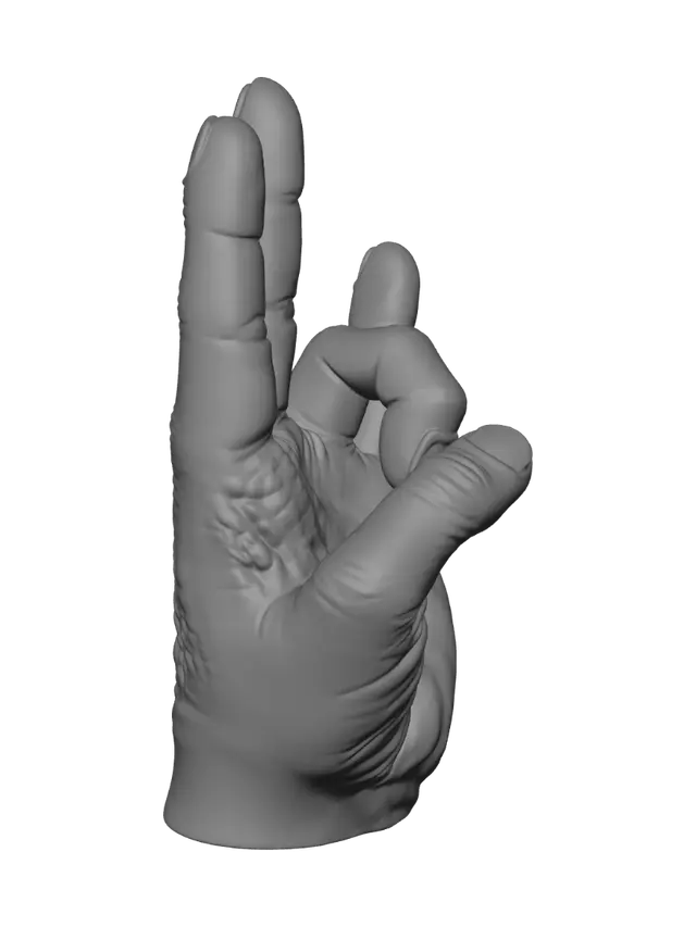 3D model for Two Extended Fingers Against a Neutral Wall
