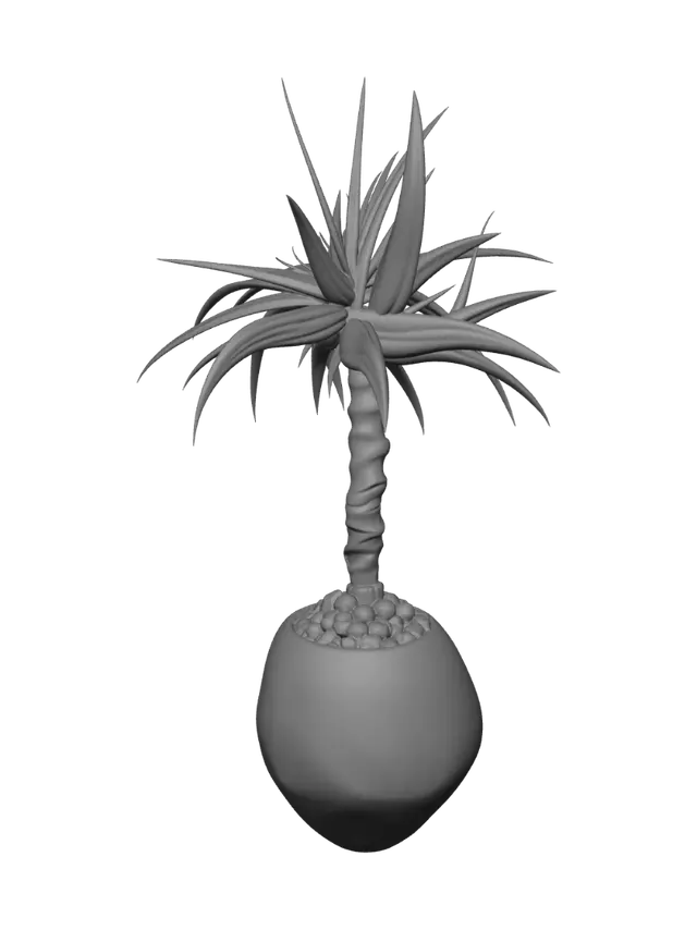 3D model for Potted Palm