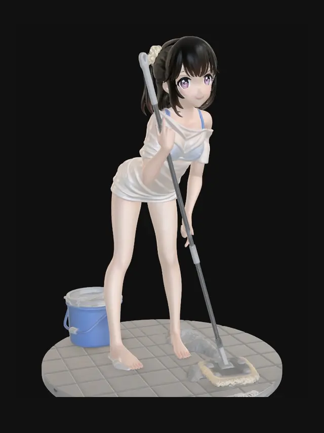 3D model for Mopping Moment