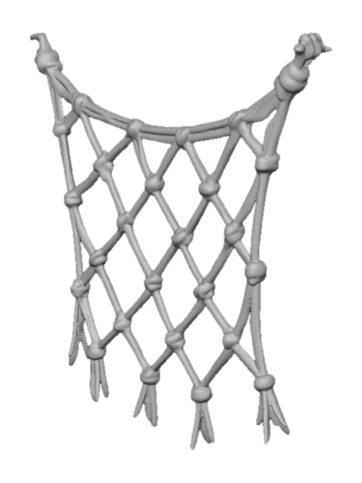 3D model for Net of Knots