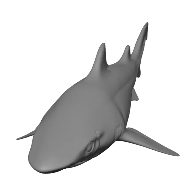 3D model for Monochrome Shark