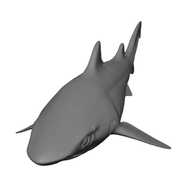3D model for Monochrome Shark