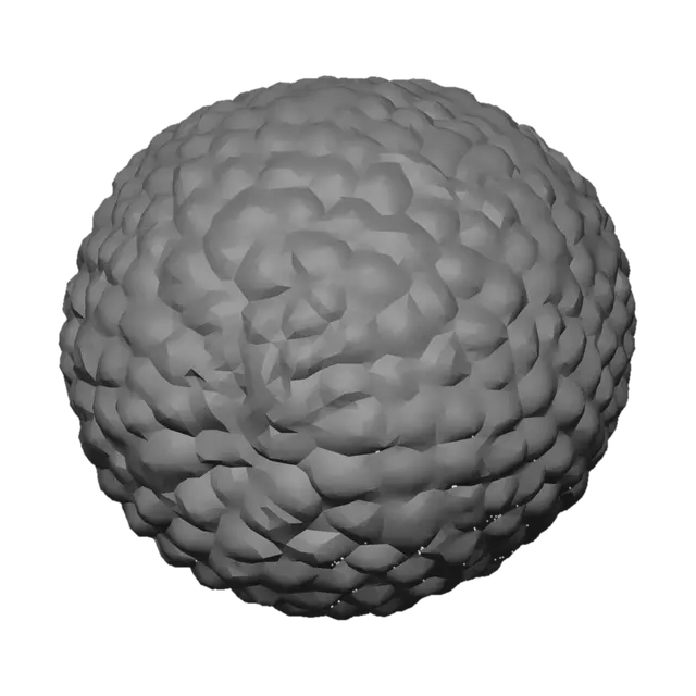 3D model for Black Truffle