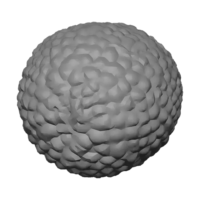 3D model for Black Truffle