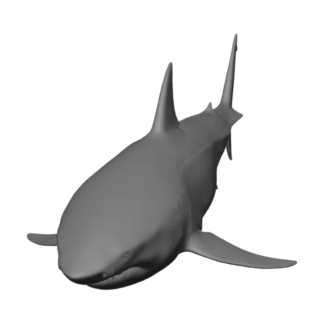 3D model for Great White Shark Underwater