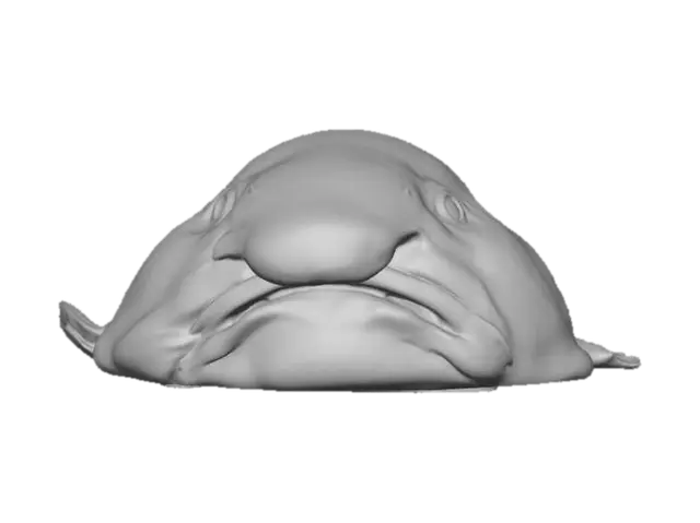 3D model for Pale Curve in the Dark