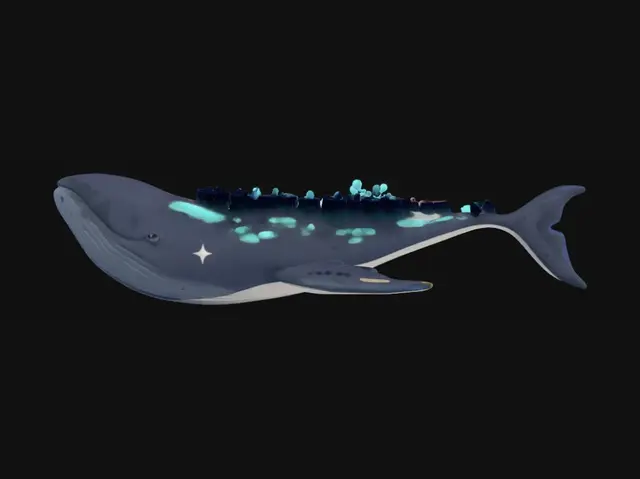 3D model for Crystal-Back Whale
