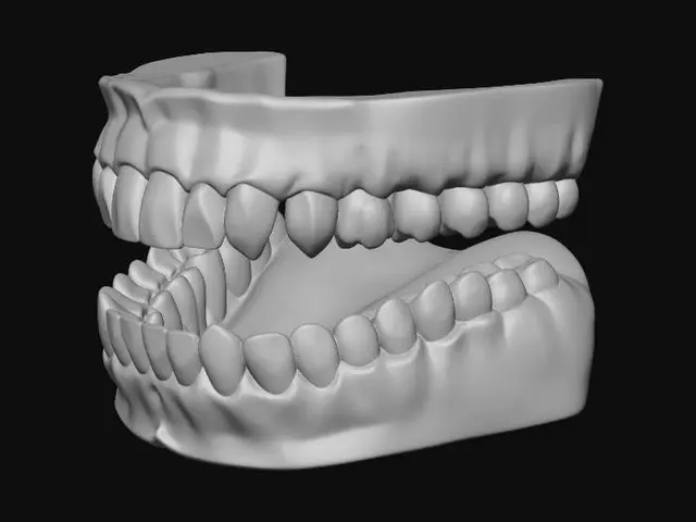 Free Denture 3D Models - Download Instantly | Meshy