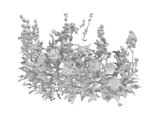 3D model for Spring Blossoms, #garden#
