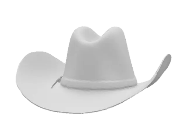 3D model for Create a cowboy hat. Make it detailed, make sure the proportions are correct and that there are no visible artifacts.