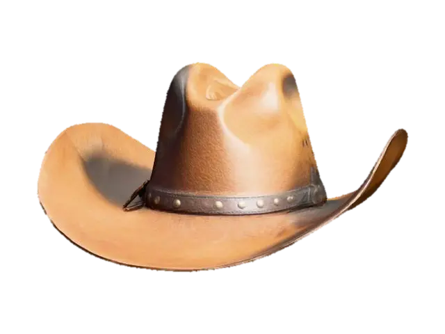3D model for Create a cowboy hat. Make it detailed, make sure the proportions are correct and that there are no visible artifacts.
