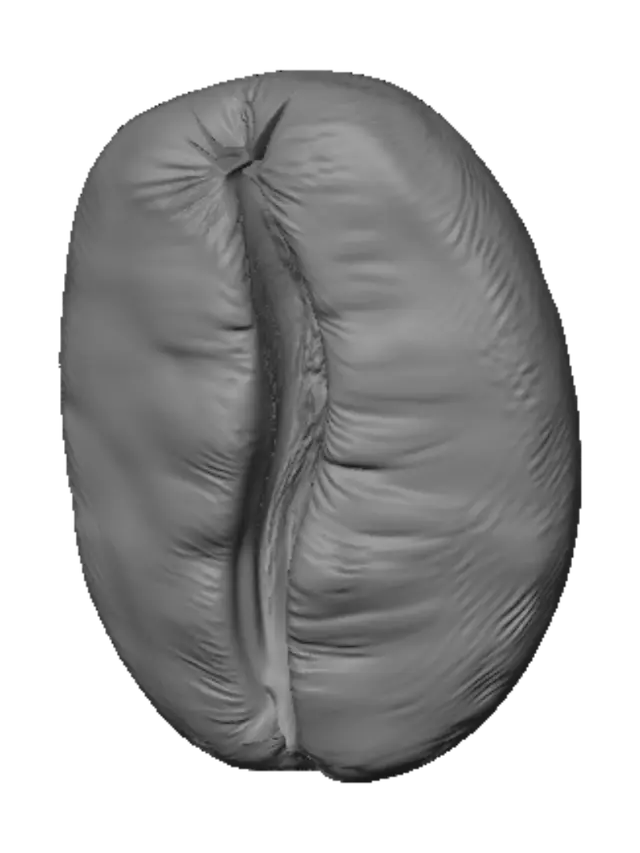 3D model for Cracked Coffee Bean