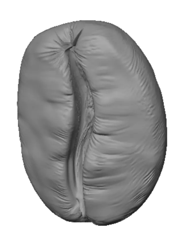 3D model for Cracked Coffee Bean