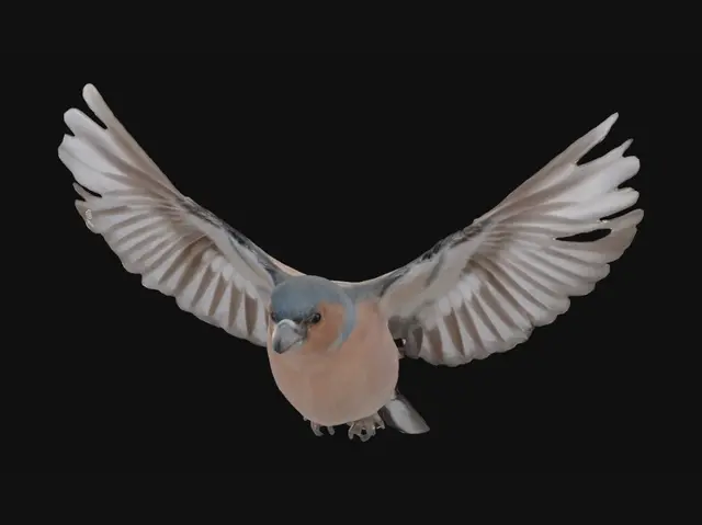 3D model for realistic object, 45° side view, centered composition, pure white background, soft natural light, clear outline, high detail, 8K, sharp focus, no clutter, simple texture, the same bird as reference, fixed size and feather color, flying posture, spread wings, same body proportion, unchanged bird appearance