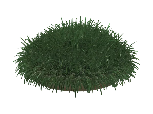 3D model for Grass Ball