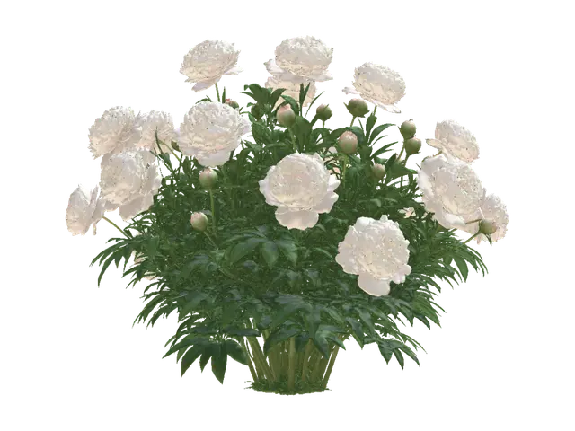 Pink Peony Bush - Petal 3D model, vytvořený pomocí AI