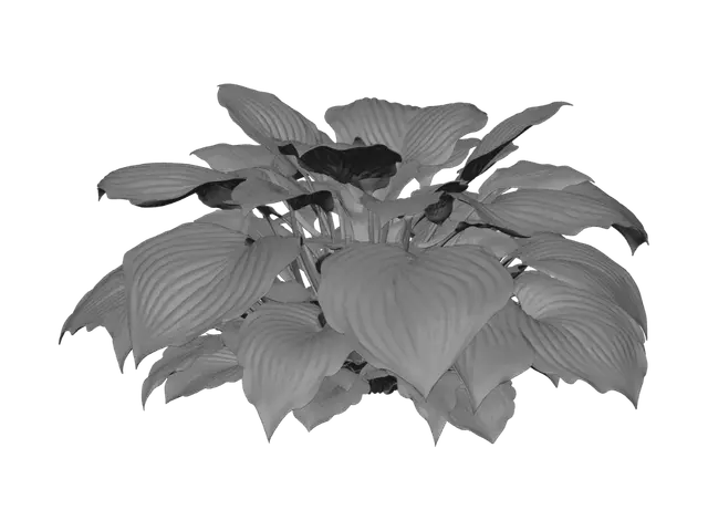 3D model for Halcyon