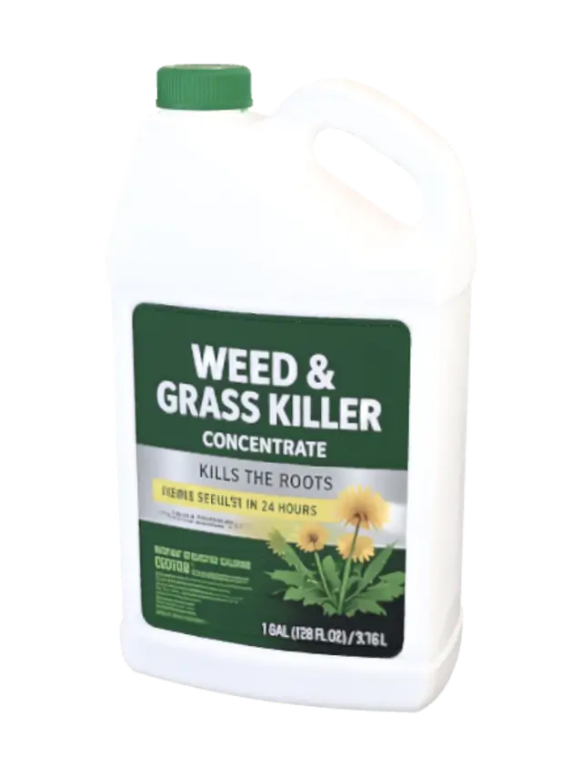 3D model for Weed & Grass Killer Concentrate