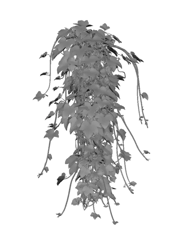 3D model for Hanging Ivy