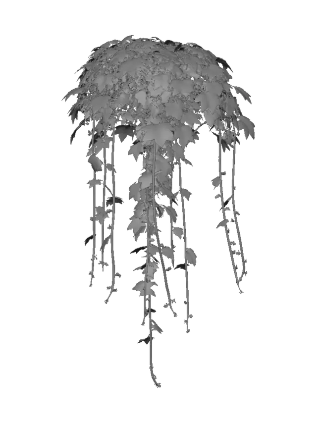 3D model for Crimson Cascade Virginia Creeper