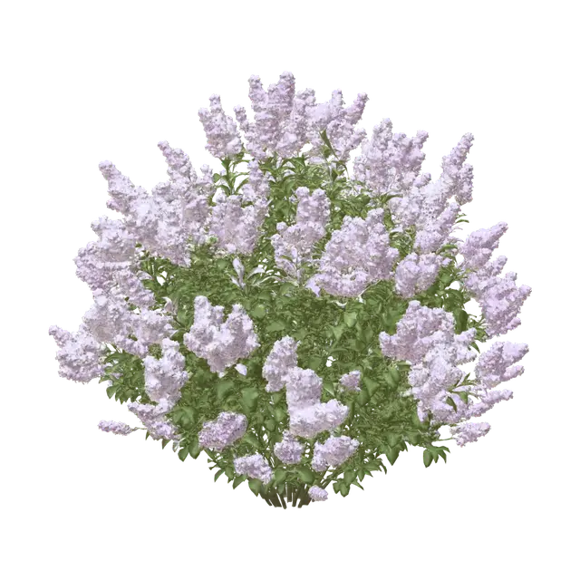 Lilac Bush in Bloom 3D model, vytvořený pomocí AI