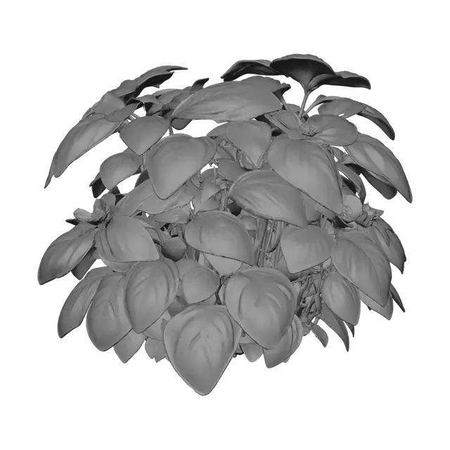 3D model for Emerald Foliage Ball