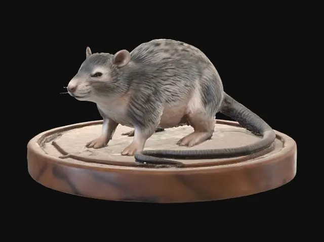 3D model for Curious Brown Rat on a Wooden Base