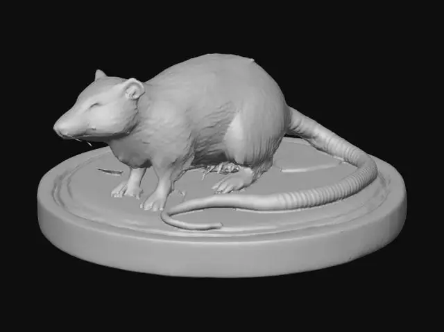 3D model for Curious Brown Rat on a Wooden Base