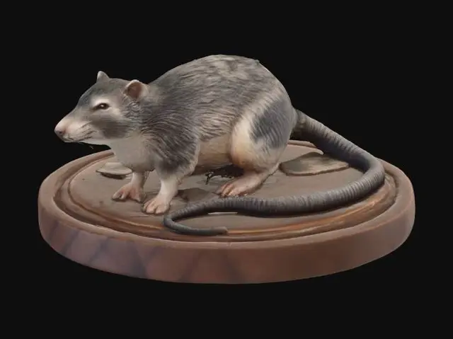 3D model for Curious Brown Rat on a Wooden Base