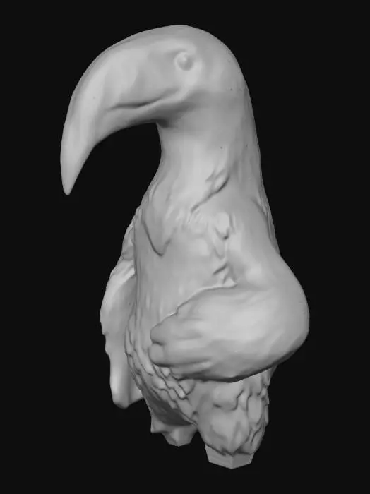 3D model for Majestic Toucan