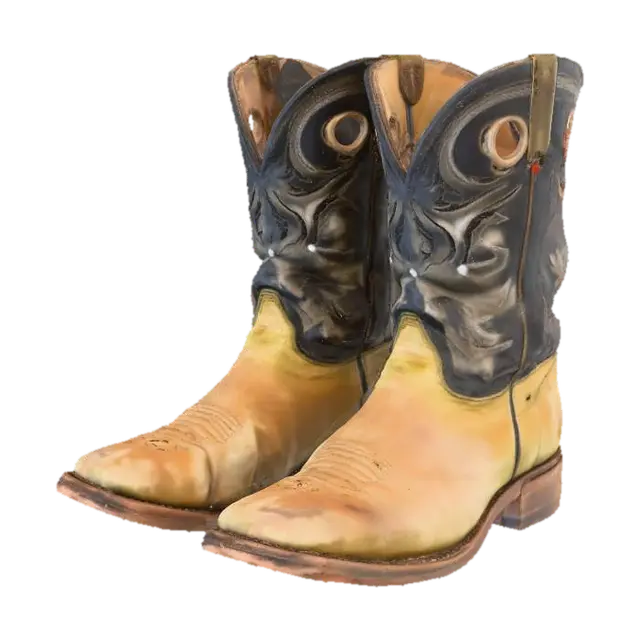 3D model for old boots