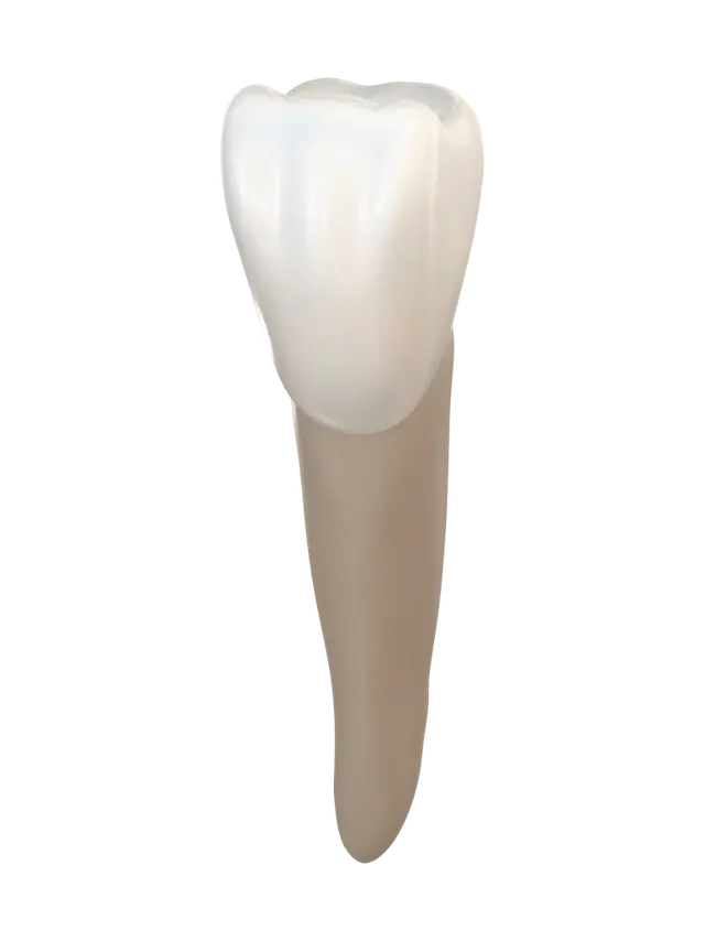 Modello 3D Tooth with crown, generato dall’IA