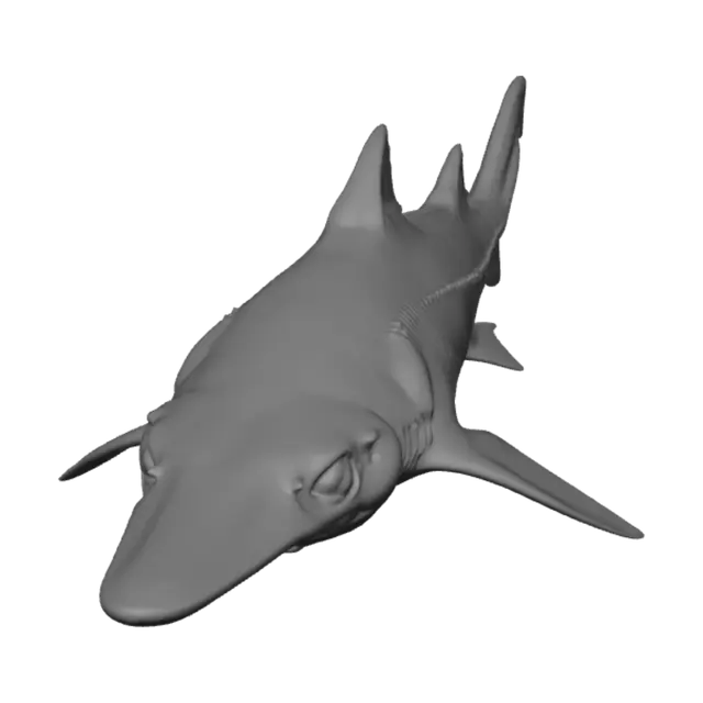 3D model for Longsnout Hunter