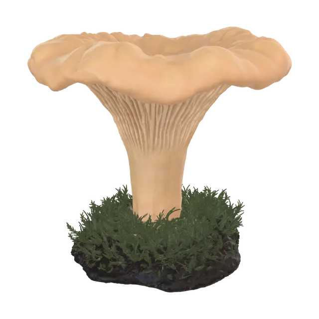Golden chanterellle high poly - Isolated 3D model, vytvořený pomocí AI