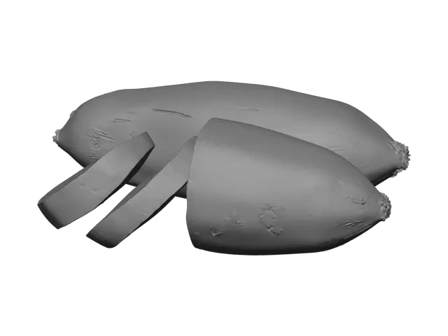 3D model for Sweetpotato