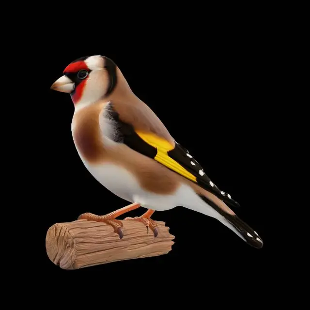3D model for European Goldfinch on a Log
