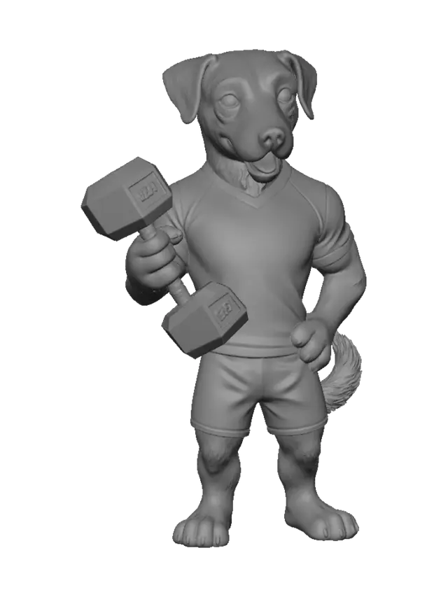 3D model for B-Fit Pup Lifts Weights