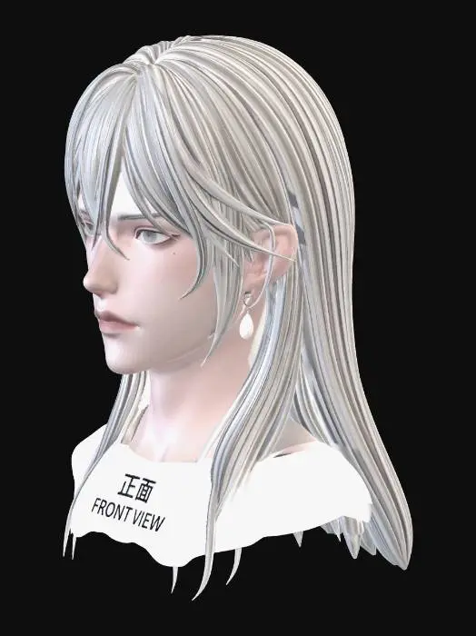 3D model for Silver-Haired Front View
