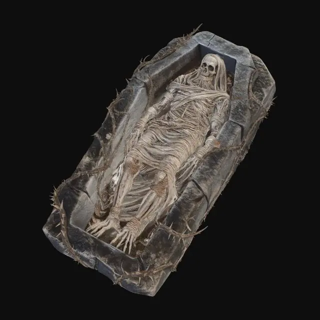 3D model for Entombed in the Stone Sarcophagus