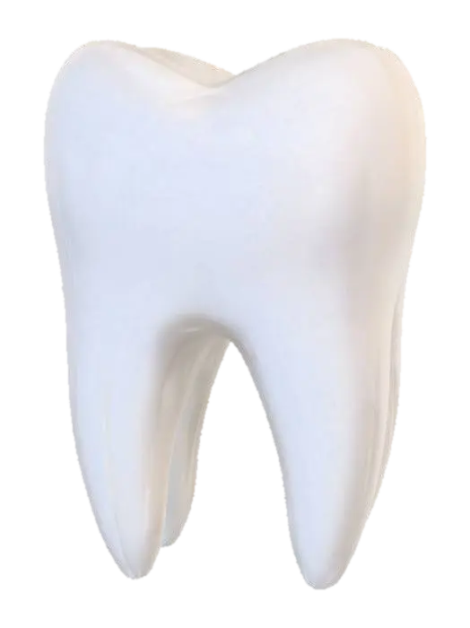 Modello 3D just a white maxilar first molar - Tooth, generato dall’IA