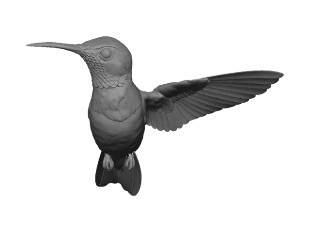 3D model for Emerald Hummingbird in Flight